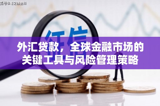 济南外汇贷款，全球金融市场的关键工具与风险管理策略