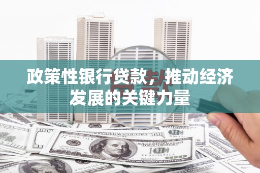 济南政策性银行贷款，推动经济发展的关键力量