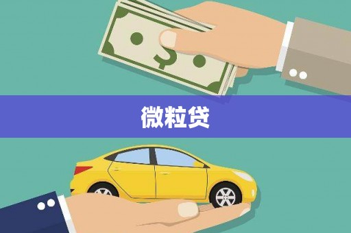 济南微粒贷