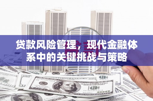 济南贷款风险管理，现代金融体系中的关键挑战与策略