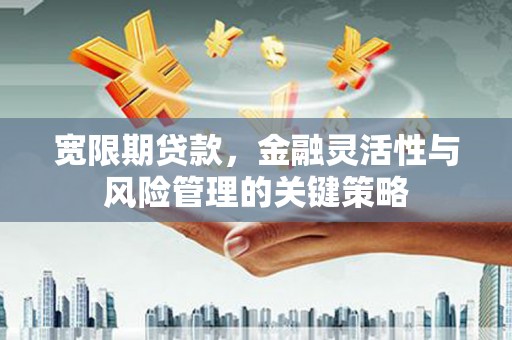 济南宽限期贷款，金融灵活性与风险管理的关键策略