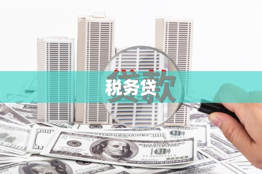 济南税务贷