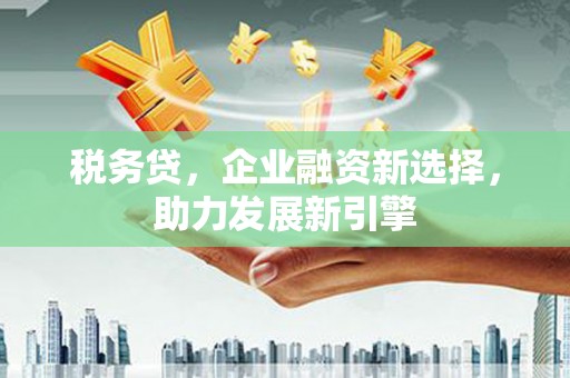 济南税务贷，企业融资新选择，助力发展新引擎