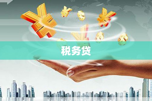 济南税务贷