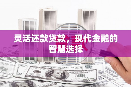 济南灵活还款贷款，现代金融的智慧选择