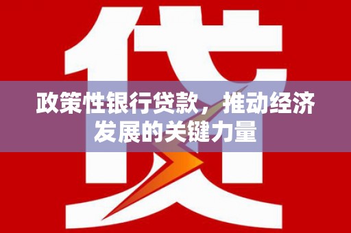济南政策性银行贷款，推动经济发展的关键力量