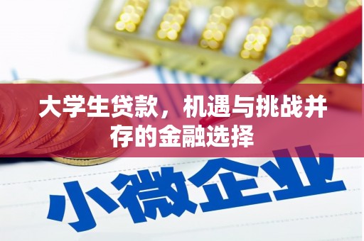 济南大学生贷款，机遇与挑战并存的金融选择
