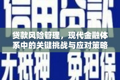 济南贷款风险管理，现代金融体系中的关键挑战与应对策略