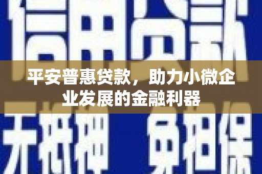 济南平安普惠贷款，助力小微企业发展的金融利器