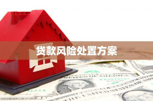 济南贷款风险处置方案